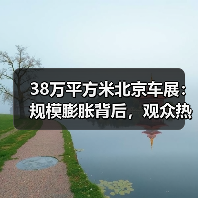 38万平方米北京车展：规模膨胀背后，观众热度为何不升？(图4)