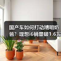 国产车如何打动精明奶爸？理想i6销量破1.6万背后的家庭真相(图2)