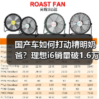 国产车如何打动精明奶爸？理想i6销量破1.6万背后的家庭真相(图3)