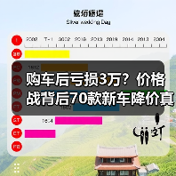 购车后亏损3万？价格战背后70款新车降价真相(图2)