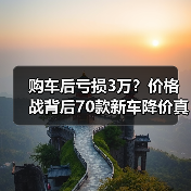 购车后亏损3万？价格战背后70款新车降价真相(图4)