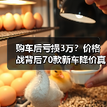 购车后亏损3万？价格战背后70款新车降价真相(图3)