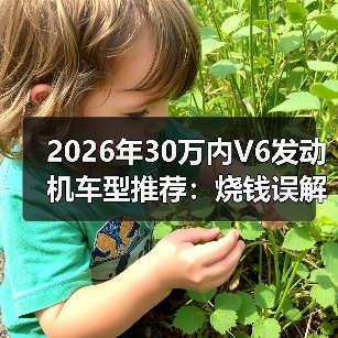 2026年30万内V6发动机车型推荐：烧钱误解如何破？(图4)
