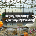 中东客户抢购电车：为何中东客商集体疯抢中国电车？(图3)