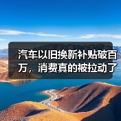 汽车以旧换新补贴破百万，消费真的被拉动了吗？(图4)