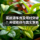 氢能源车普及何时突破？关键瓶颈与真实落地路径(图2)
