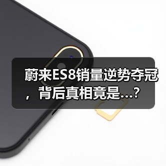 蔚来ES8销量逆势夺冠，背后真相竟是…？(图4)