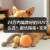 24万内隔音好的SUV怎么选？避坑指南+实测对比(图4)