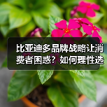 比亚迪多品牌战略让消费者困惑？如何理性选择？(图3)