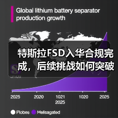 特斯拉FSD入华合规完成，后续挑战如何突破？(图2)