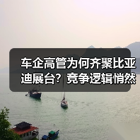车企高管为何齐聚比亚迪展台?竞争逻辑悄然转变(图4) 车企高管为何齐聚比亚迪展台?竞争逻辑悄然转变(图4)