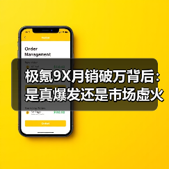 极氪9X月销破万背后:是真爆发还是市场虚火?(图2) 极氪9X月销破万背后:是真爆发还是市场虚火?(图2)