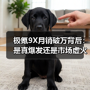 极氪9X月销破万背后：是真爆发还是市场虚