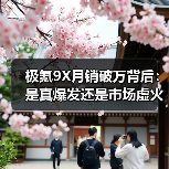 极氪9X月销破万背后:是真爆发还是市场虚火?(图3) 极氪9X月销破万背后:是真爆发还是市场虚火?(图3)