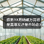 极氪9X月销破万背后:是真爆发还是市场虚火?(图4) 极氪9X月销破万背后:是真爆发还是市场虚火?(图4)