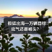 极狐出海一万辆目标：底气还是噱头？(图3)