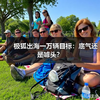 极狐出海一万辆目标：底气还是噱头？(图4)