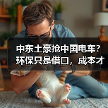中东土豪抢中国电车?环保只是借口,成本才是王道(图1) 中东土豪抢中国电车?环保只是借口,成本才是王道(图1)