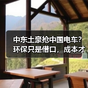 中东土豪抢中国电车?环保只是借口,成本才是王道(图4) 中东土豪抢中国电车?环保只是借口,成本才是王道(图4)