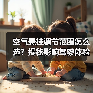空气悬挂调节范围怎么选？揭秘影响驾驶体验的关键秘密(图3)