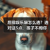后排娱乐屏怎么选？选对这5点，孩子不闹你不累(图2)