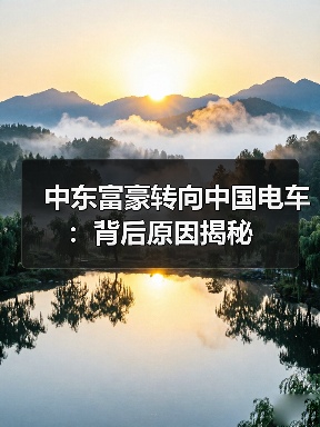 中东富豪转向中国电车:背后原因揭秘(图1) 中东富豪转向中国电车:背后原因揭秘(图1)