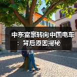 中东富豪转向中国电车:背后原因揭秘(图4) 中东富豪转向中国电车:背后原因揭秘(图4)