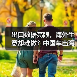 出口数据亮眼,海外生意却难做?中国车出海暗藏哪些危机?(图3) 出口数据亮眼,海外生意却难做?中国车出海暗藏哪些危机?(图3)