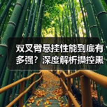 双叉臂悬挂性能到底有多强?深度解析操控黑科技(图1) 双叉臂悬挂性能到底有多强?深度解析操控黑科技(图1)
