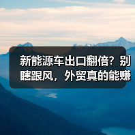 新能源车出口翻倍?别瞎跟风,外贸真的能赚吗(图3) 新能源车出口翻倍?别瞎跟风,外贸真的能赚吗(图3)