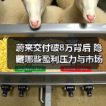 蔚来交付破8万背后 隐藏哪些盈利压力与市场信号？(图3)