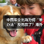 中国车企出海为何“笨办法”反而赢了？海外