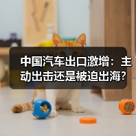 中国汽车出口激增：主动出击还是被迫出海？