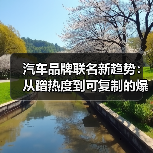 汽车品牌联名新趋势：从蹭热度到可复制的爆款公式(图2)