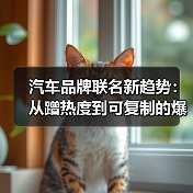 汽车品牌联名新趋势：从蹭热度到可复制的爆款公式(图3)