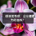 标准发布后,企业差距为何悬殊?(图1) 标准发布后,企业差距为何悬殊?(图1)
