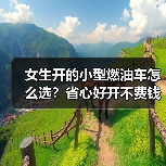 女生开的小型燃油车怎么选？省心好开不费钱的选择清单(图4)