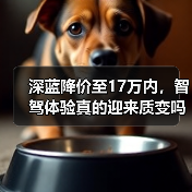 深蓝降价至17万内，智驾体验真的迎来质变吗？(图1)