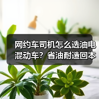 网约车司机怎么选油电混动车?省油耐造回本快的实战指南(图2) 网约车司机怎么选油电混动车?省油耐造回本快的实战指南(图2)