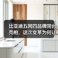 比亚迪五网四品牌同台亮相，这次变革为何让人眼前一亮？(图2)