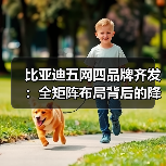 比亚迪五网四品牌齐发：全矩阵布局背后的降
