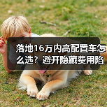 落地16万内高配置车怎么选?避开隐藏费用陷阱指南(图2) 落地16万内高配置车怎么选?避开隐藏费用陷阱指南(图2)