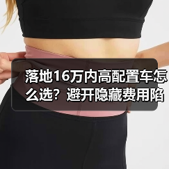 落地16万内高配置车怎么选?避开隐藏费用陷阱指南(图4) 落地16万内高配置车怎么选?避开隐藏费用陷阱指南(图4)