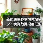新能源车冬季快充慢多少?实测数据揭密低温影响(图1) 新能源车冬季快充慢多少?实测数据揭密低温影响(图1)