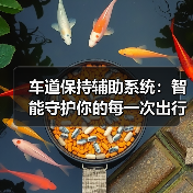 车道保持辅助系统:智能守护你的每一次出行(图3) 车道保持辅助系统:智能守护你的每一次出行(图3)