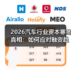 2026汽车行业资本寒冬真相:如何应对融资趋冷与自救方法?(图4) 2026汽车行业资本寒冬真相:如何应对融资趋冷与自救方法?(图4)