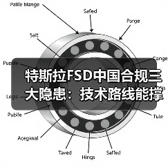 特斯拉FSD中国合规三大隐患：技术路线能撑多久？(图2)