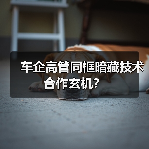 车企高管同框暗藏技术合作玄机？ - 智穹界新车资讯站
