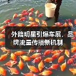 外籍明星引爆车展,品牌流量传播新机制(图2) 外籍明星引爆车展,品牌流量传播新机制(图2)