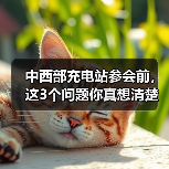 中西部充电站参会前,这3个问题你真想清楚了吗?(图3) 中西部充电站参会前,这3个问题你真想清楚了吗?(图3)